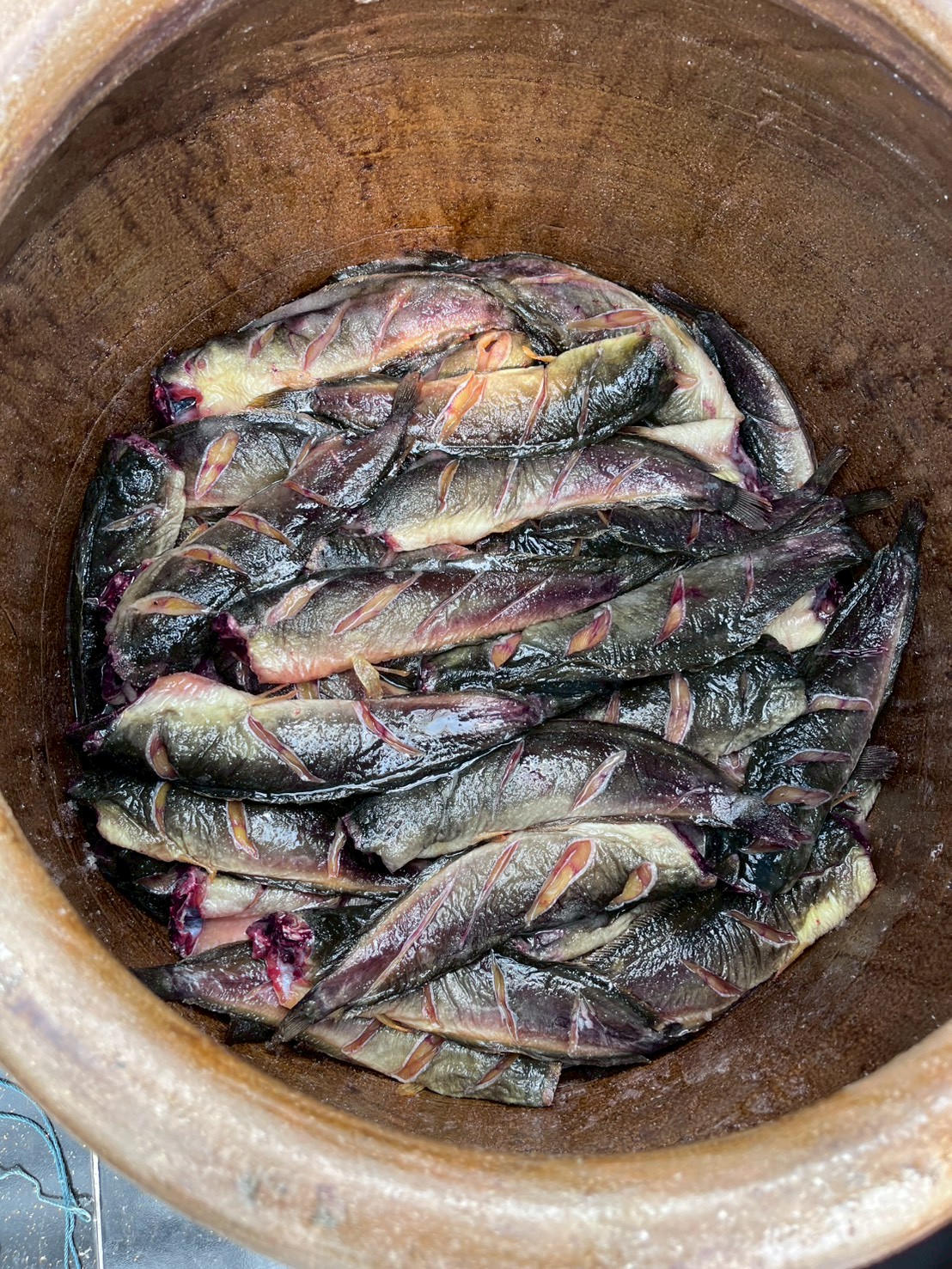 title - ส.ป.ก. อุตรดิตถ์ จัดฝึกอบรมเชิงปฏิบัติการ หลักสูตร “การเพิ่มมูลค่าสินค้า และการพัฒนาช่องทางด้านการตลาด” โครงการพัฒนาธุรกิจชุมชน กิจกรรมพัฒนาธุรกิจชุมชนในเขตปฏิรูปที่ดินจังหวัดอุตรดิตถ์ ปีงบประมาณ พ.ศ. ๒๕๖๙